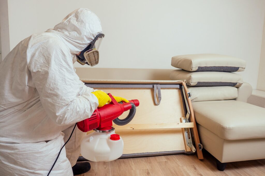pest control worker in uniform spraying pesticides under couch in living lounge room